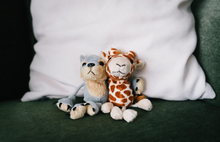 Seminar-GFK-Wertschätzung-Rosenberg Giraffe und Wolf sind die Symboltiere der Gewaltfreien Kommunikation nach Rosenberg.